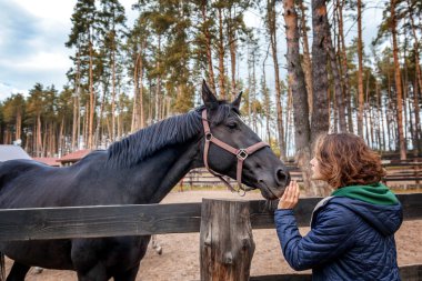 Güzel genç kadın elle besleme at