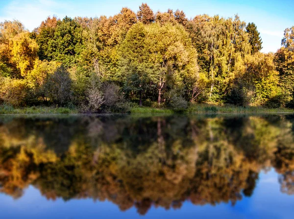 与彩林的秋季景观。太阳能的琥珀色 paysage。英蒂 — 图库照片