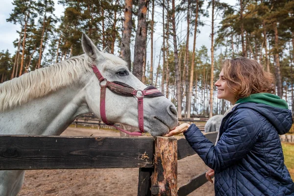 Güzel genç kadın elle besleme at
