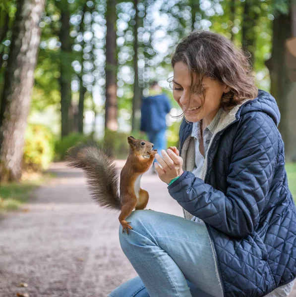 Mooie jonge vrouw een eekhoorn in een herfst park, een sq voeding — Stockfoto