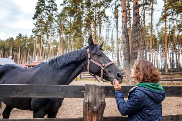 美丽的年轻女子正在用手喂马 — 图库照片
