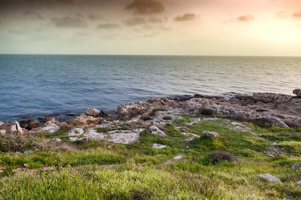 Πέτρα ακτή της θάλασσας με το πράσινο γρασίδι στο ηλιοβασίλεμα. Πανέμορφο τοπίο, C — Φωτογραφία Αρχείου