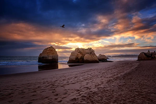 Ακτές του Ατλαντικού, στο ηλιοβασίλεμα, Algarve, Πορτογαλία. Εκπληκτικά όμορφη — Φωτογραφία Αρχείου