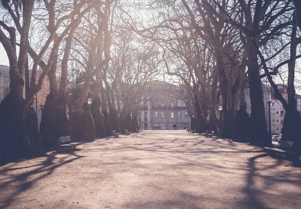 Porto, Portugal, parc dans le centre historique de la ville. Beauti — Photo