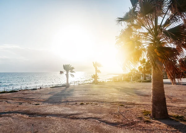 Isla de Chipre, Paphos. Hermoso paisaje en un día soleado en —  Fotos de Stock