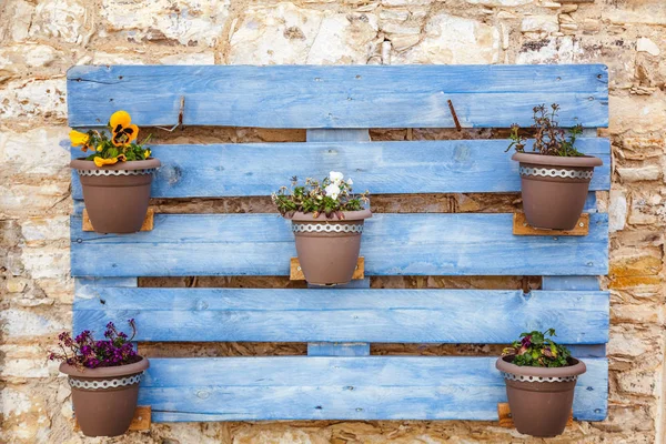 Mehrere Töpfe mit Blumen an der Wand, ein origineller Topf und ein Topf — Stockfoto