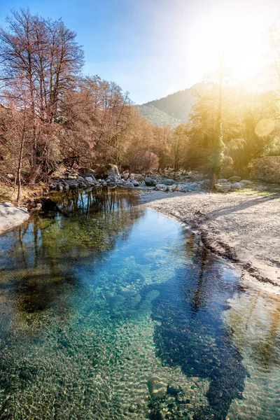 一个美丽的风景, 在春天森林里的一条高山河流, 日 — 图库照片