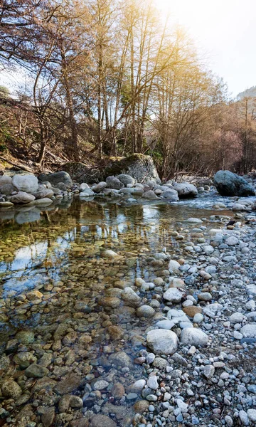 一个美丽的风景, 在春天森林里的一条高山河流, 日 — 图库照片