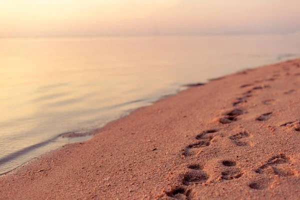 Pegadas na areia na praia durante o pôr do sol, fundo tr — Fotografia de Stock