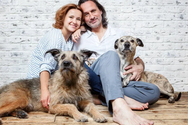 Um casal feliz com seus cães, um retrato de sementes, amor, c — Fotografia de Stock