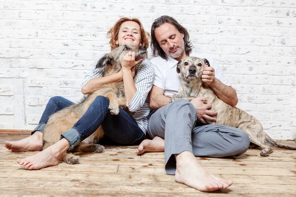 Um casal feliz com seus cães, um retrato de sementes, amor, c — Fotografia de Stock