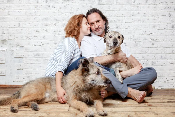 Um casal feliz com seus cães, um retrato de sementes, amor, c — Fotografia de Stock
