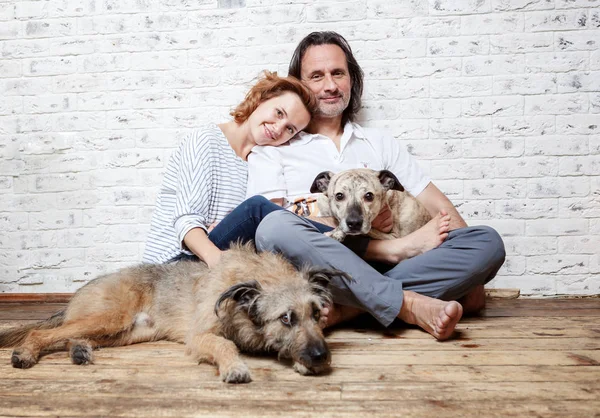 Um casal feliz com seus cães, um retrato de sementes, amor, c — Fotografia de Stock