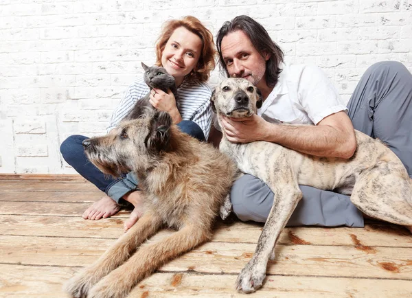 Aantrekkelijke man en zijn jonge vrouw met huisdieren, twee honden en een kat, — Stockfoto