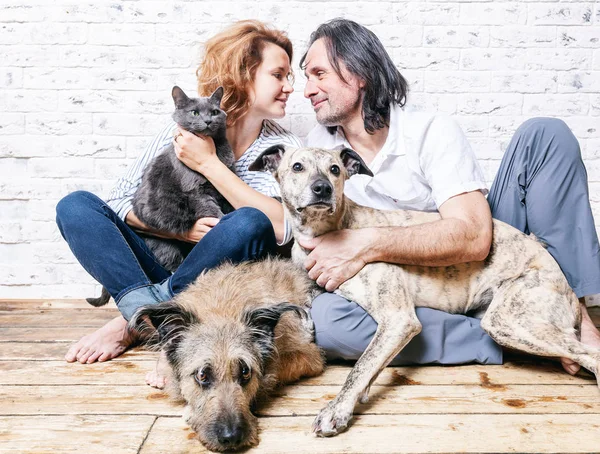 Homem atraente e sua jovem esposa com animais de estimação, dois cães e um gato , — Fotografia de Stock