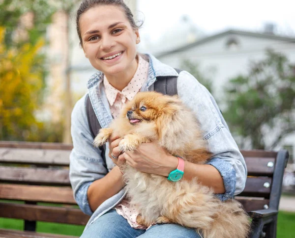 Mooie jonge vrouw met haar Pommeren puppy op haar handen op — Stockfoto