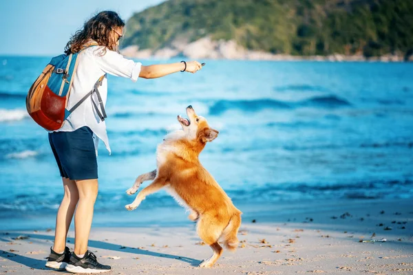 Mooi gelukkig vrouw rennend met haar hond nat zand op de Bea — Stockfoto