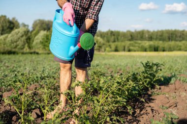 Young handsome man grows plants in his garden, takes care of pla