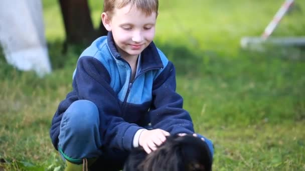 Мальчик Деревне Выгуливать Собаку — стоковое видео