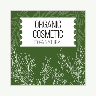 Bitkisel kozmetik vektör şablonu. Tasarım ve web için modern illüstrasyon.
