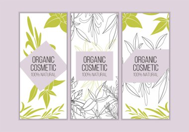 Vektör bitkisel kozmetik kart şablonları. Tasarım ve web için modern illüstrasyon.