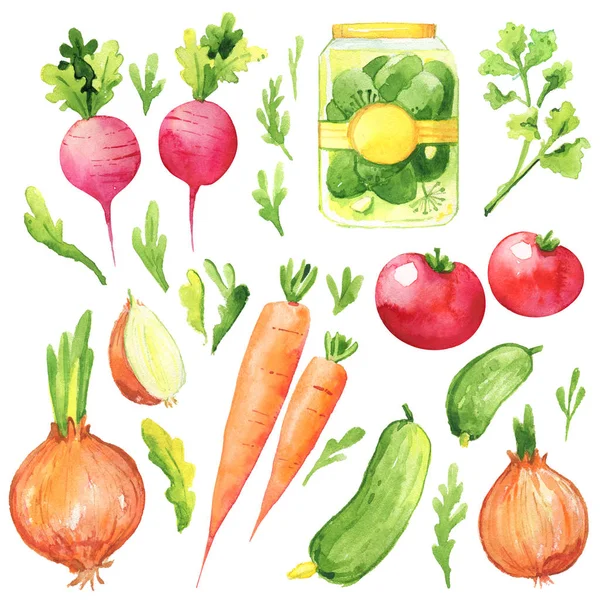 Vegetables harvest summer fresh radish carrots onions cucumber pot greenery watercolor illustration set — 스톡 사진