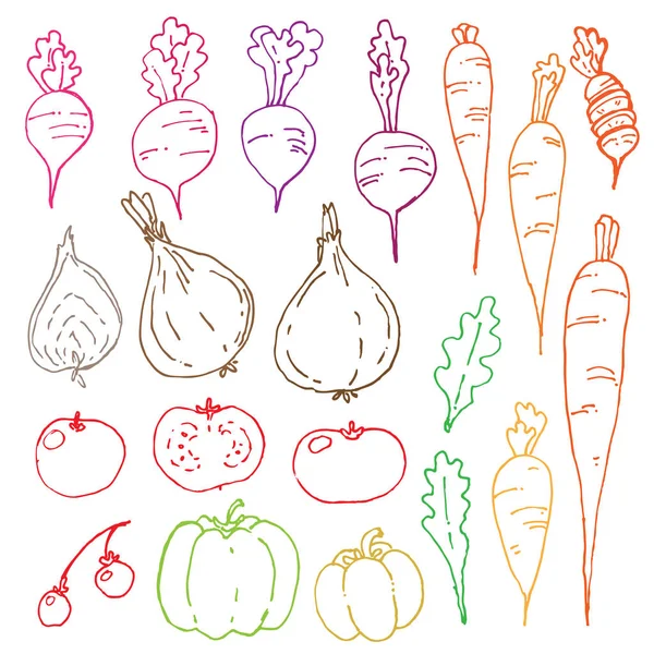 Legumes colheita de alimentos frescos cozinhar cenouras cebolas tomates — Vetor de Stock
