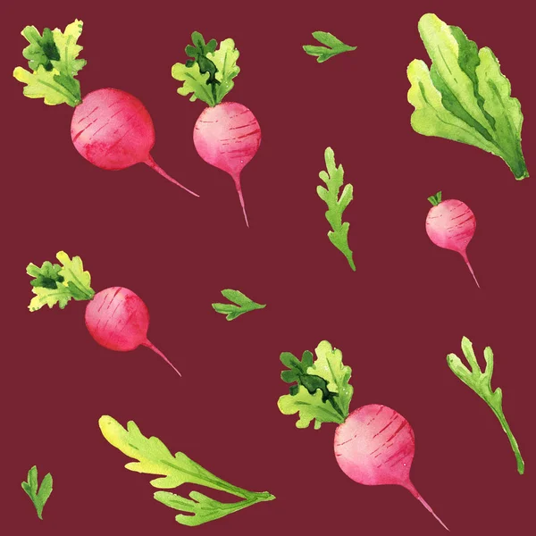 Rädisa Våren Färsk Kryddig Mat Sallad Greener Miljövänliga Skära Akvarell — Stockfoto