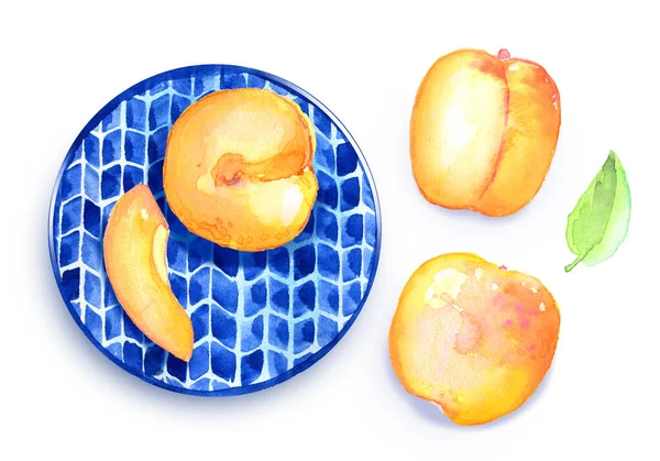 盘子桃子杏果少数民族手工制做的夏收农场烹调好天气水彩画 — 图库照片