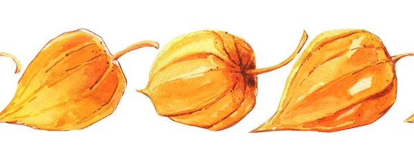 Patrón Linterna Fruta Amarilla Physalis Otoño Que Repite Marco Borde — Foto de Stock