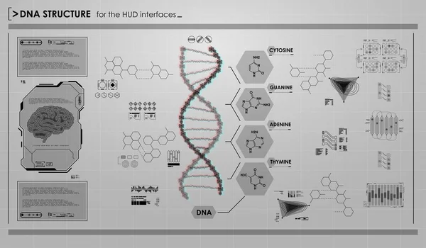 DNA 구조를 가진 HUD 인포 그래픽 요소. 미래적 사용자 인터페이스. 추상적 인 가상 그래픽. — 스톡 벡터