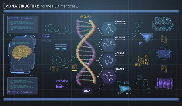 DNA 구조를 가진 HUD 인포 그래픽 요소. 미래적 사용자 인터페이스. 추상적 인 가상 그래픽. — 스톡 벡터