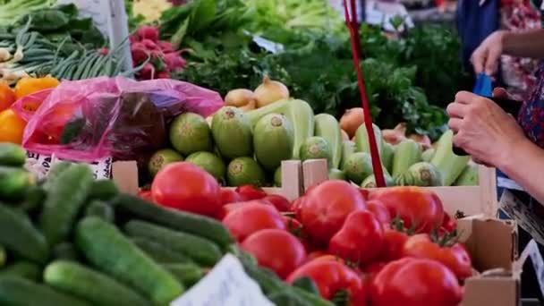 市場のカウンターで野菜を買って — ストック動画