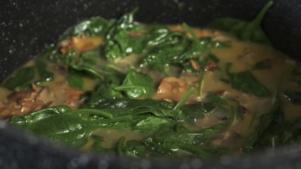 Cooking mushroom soup with spinach close frame — Stock Footage Cooking Mushroom Soup Spinach Close Frame Video Clip