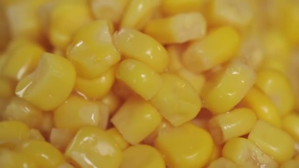 美味的玉米种子特写视图 — 图库视频影像
