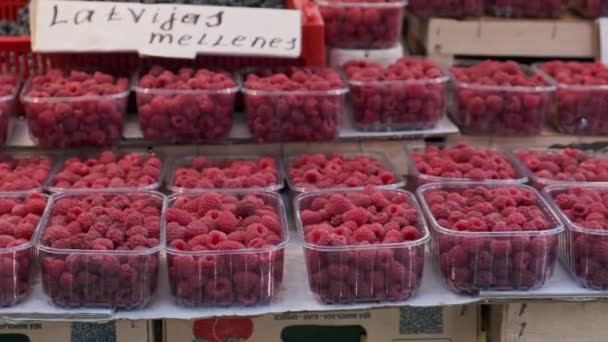 Himbeeren Auf Der Theke Mit Preisen — Stockvideo