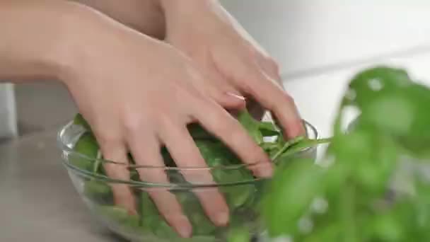 Mixing Spinach Leaves Glass Bowl — Stock Video