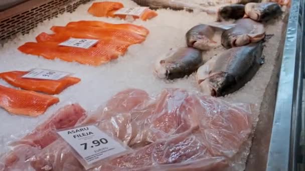 Trucha Salmón Otros Peces Refrigerados Una Vitrina Con Hielo — Vídeos de Stock