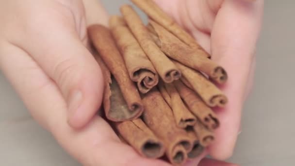 Hands Holding Cinnamon Sticks — Stock Video