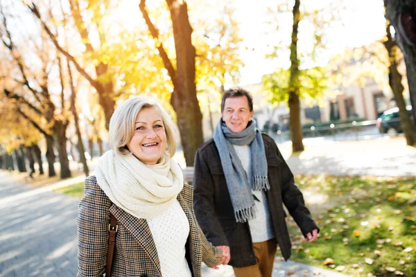 Äldre par på promenad i höst park. — Stockfoto