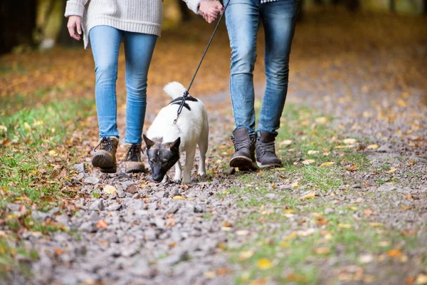 Paar geht mit Hund im Herbstwald spazieren — Stockfoto