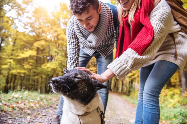 Пара с собакой в осеннем лесу — стоковое фото