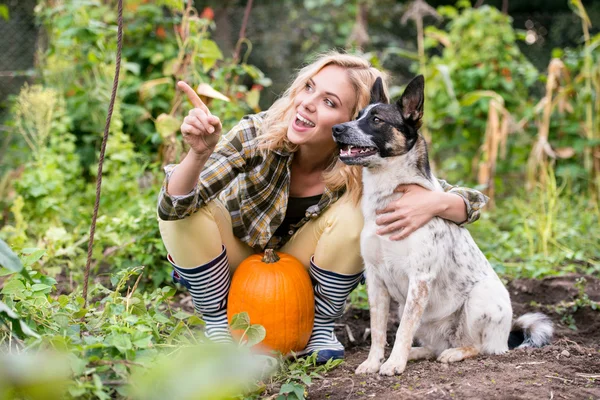 Mujer joven con perro cosechando calabazas — Foto de Stock