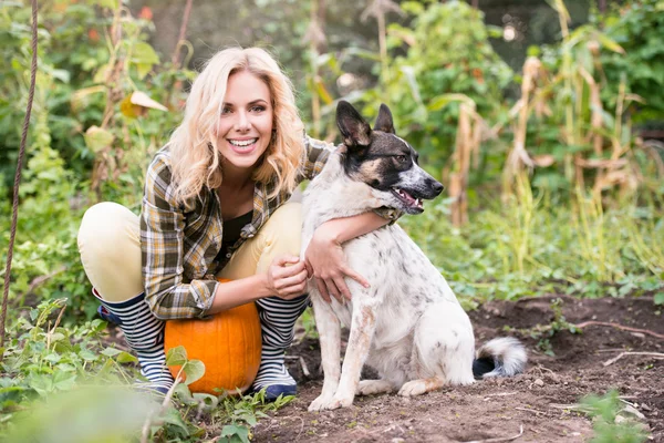 Jeune femme avec chien récolte citrouilles — Photo