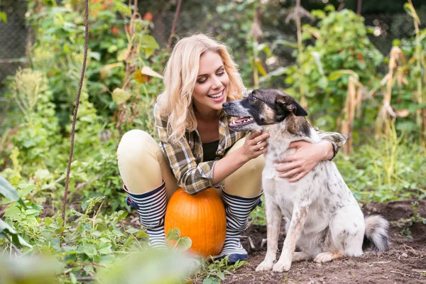 Jonge vrouw met hond pompoenen oogsten — Stockfoto