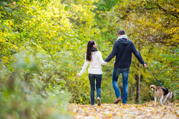 Pareja con perro en bosque de otoño — Foto de Stock