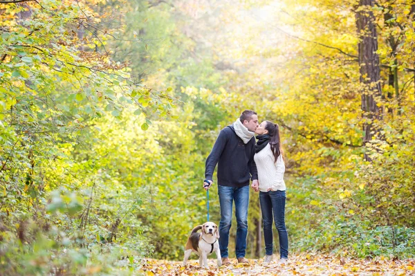 Casal jovem com cão em um passeio na floresta de outono — Fotografia de Stock