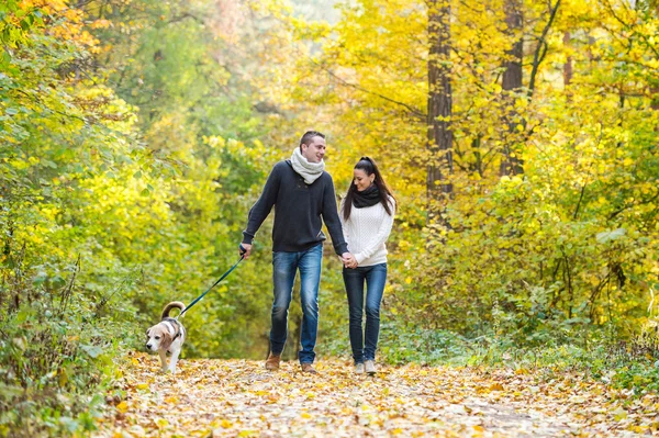 Casal com cão na floresta de outono — Fotografia de Stock