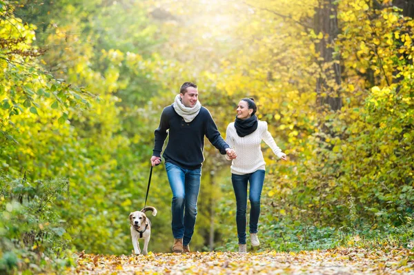 Casal com cão correndo na floresta de outono — Fotografia de Stock