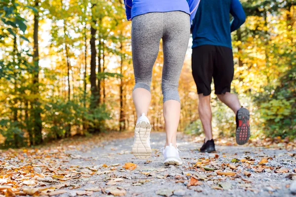 Las piernas de los corredores fuera en el bosque de otoño — Foto de Stock